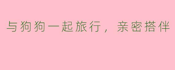 与狗狗一起旅行，亲密搭伴