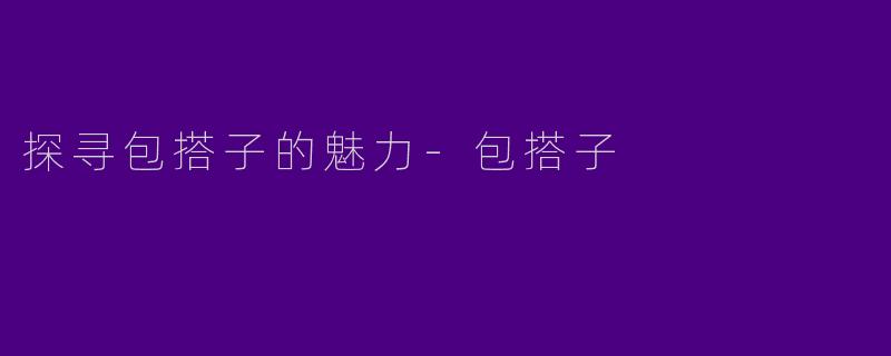 探寻包搭子的魅力-包搭子