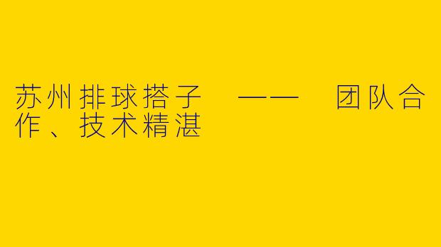 苏州排球搭子 —— 团队合作、技术精湛