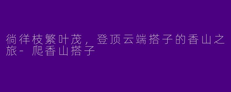 徜徉枝繁叶茂,登顶云端搭子的香山之旅