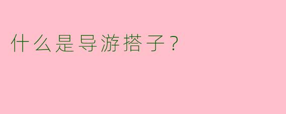 什么是导游搭子?