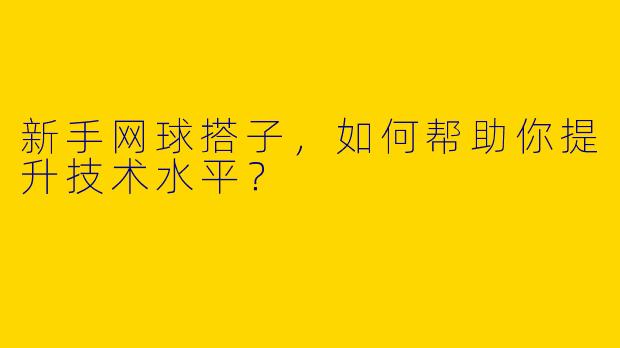 新手网球搭子,如何帮助你提升技术水平?