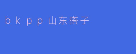 什么是bkpp山东搭子?