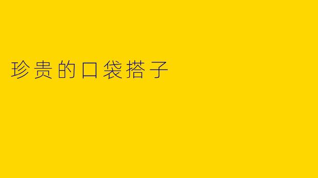 珍贵的口袋搭子
