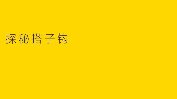 探秘搭子钩