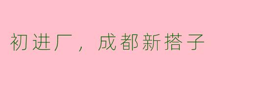初进厂，成都新搭子