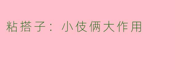粘搭子：小伎俩大作用