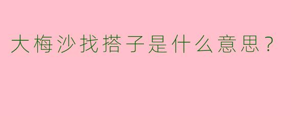 大梅沙找搭子是什么意思？