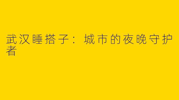 武汉睡搭子：城市的夜晚守护者