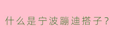 什么是宁波蹦迪搭子?