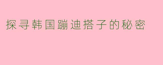 探寻韩国蹦迪搭子的秘密