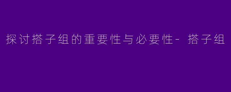 探讨搭子组的重要性与必要性