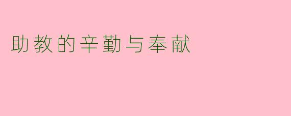 助教的辛勤与奉献