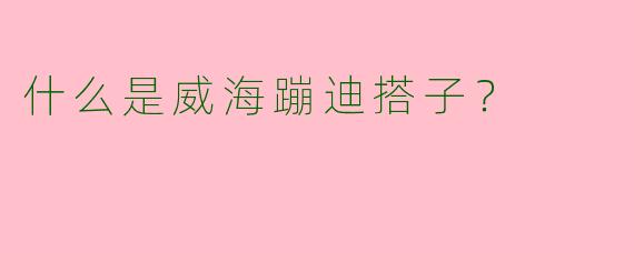 什么是威海蹦迪搭子？