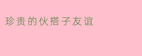 珍贵的伙搭子友谊