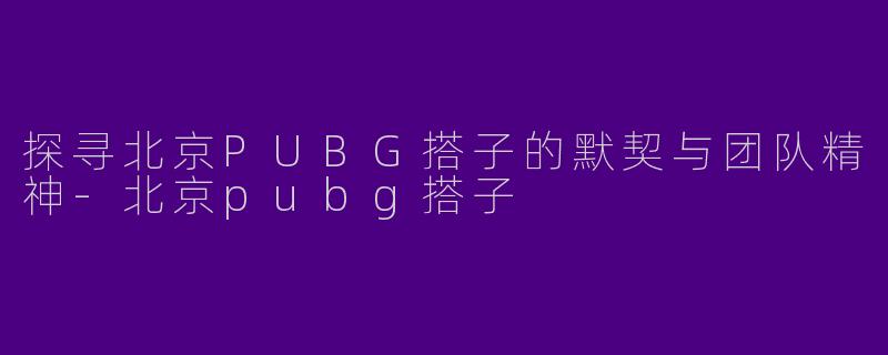 探寻北京PUBG搭子的默契与团队精神-北京pubg搭子