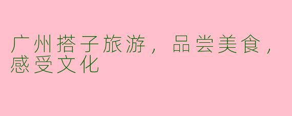 广州搭子旅游，品尝美食，感受文化