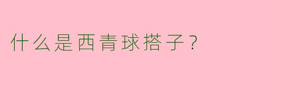 什么是西青球搭子？