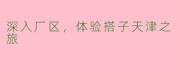 深入厂区,体验搭子天津之旅