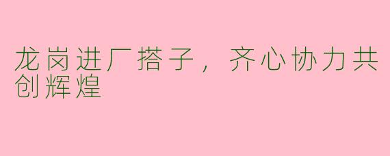 龙岗进厂搭子，齐心协力共创辉煌