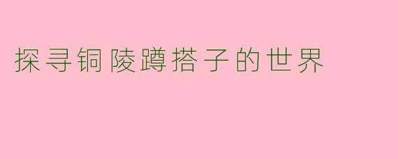 探寻铜陵蹲搭子的世界