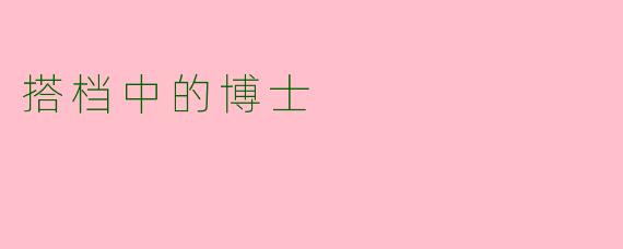 搭档中的博士