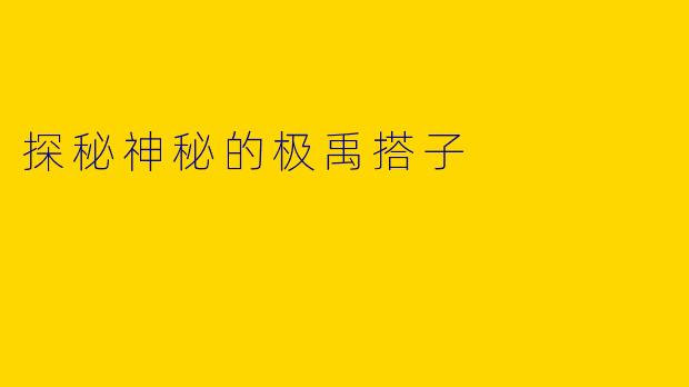 探秘神秘的极禹搭子