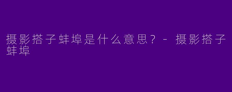 摄影搭子蚌埠是什么意思？