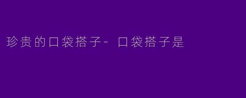 珍贵的口袋搭子
