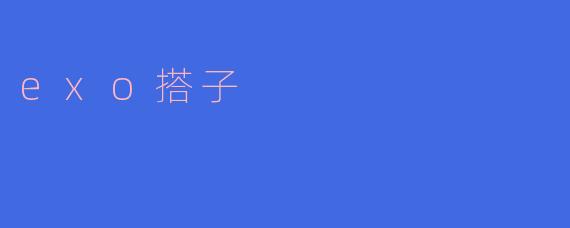 exo搭子