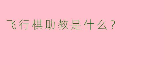 飞行棋助教是什么？