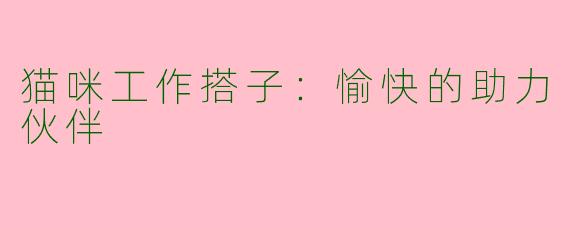 猫咪工作搭子：愉快的助力伙伴