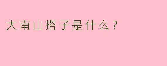 大南山搭子是什么？