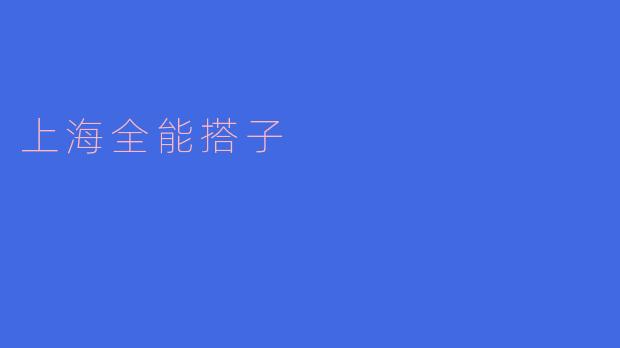 探寻上海全能搭子的独特魅力