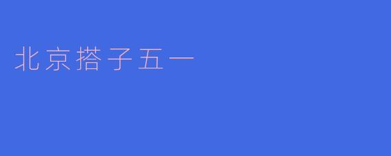 北京搭子五一