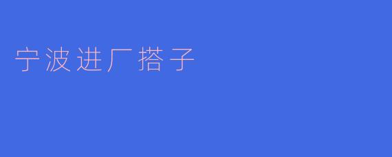 什么是宁波进厂搭子？
