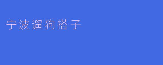 什么是“宁波遛狗搭子”?