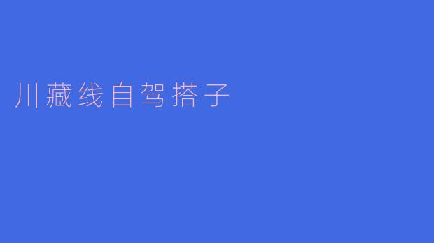穿越高原风光，携手同行——川藏线自驾搭子