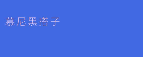 什么是慕尼黑搭子？