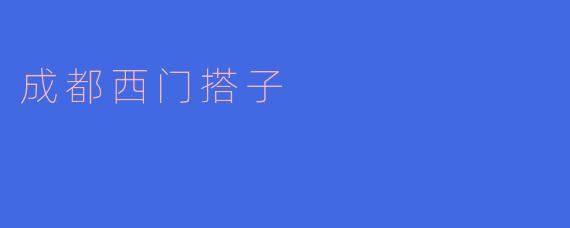 成都西门搭子