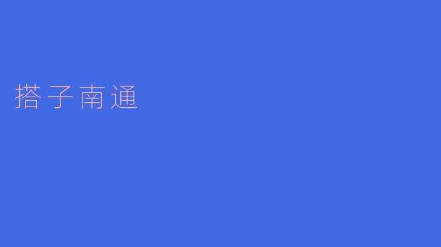 搭子南通是什么意思?