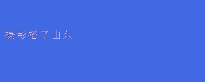 摄影搭子山东