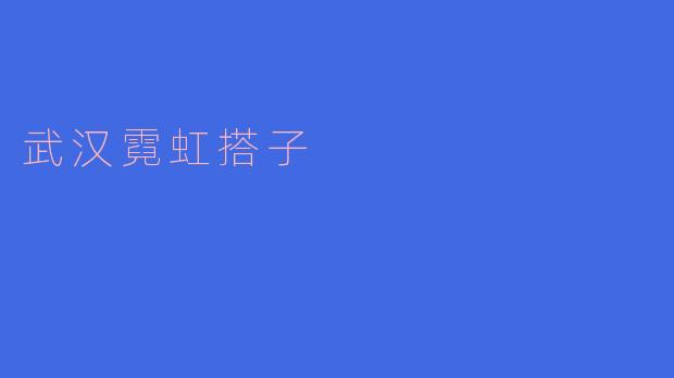 武汉霓虹搭子