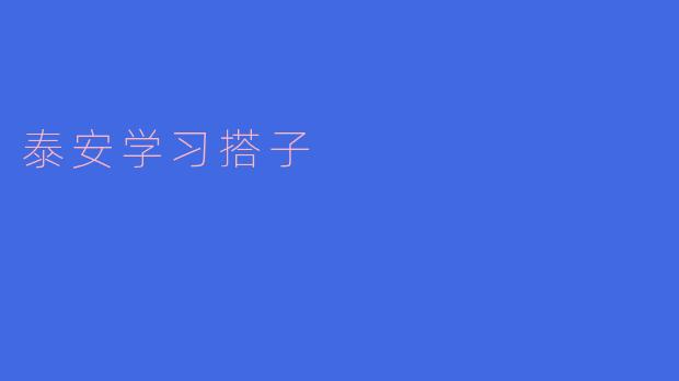 泰安学习搭子