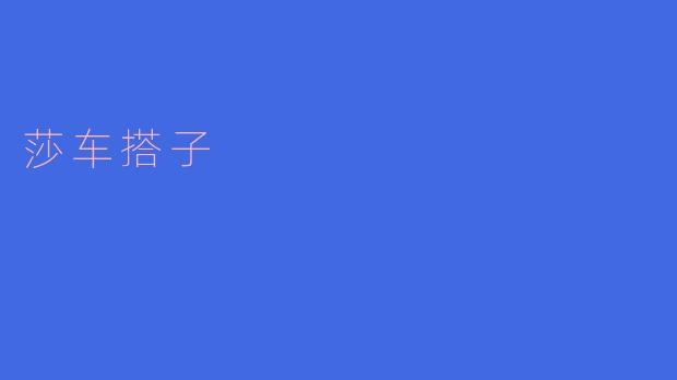 莎车搭子是指什么?