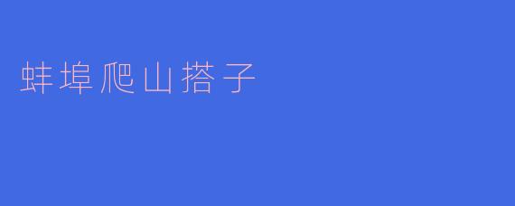 蚌埠爬山搭子是什么意思?