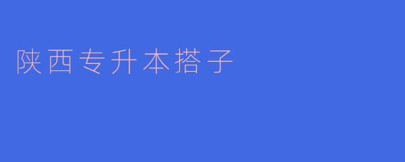 陕西专升本搭子是指什么?