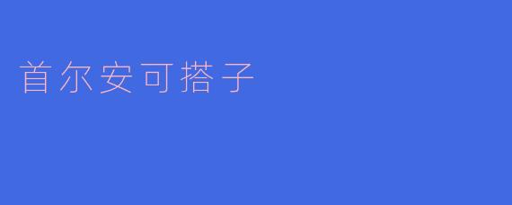 首尔安可搭子