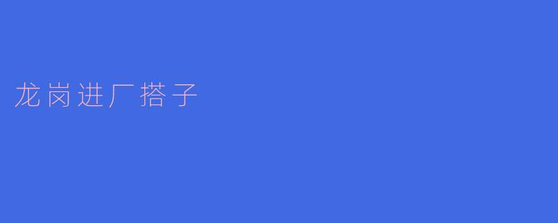 龙岗进厂搭子,齐心协力共创辉煌