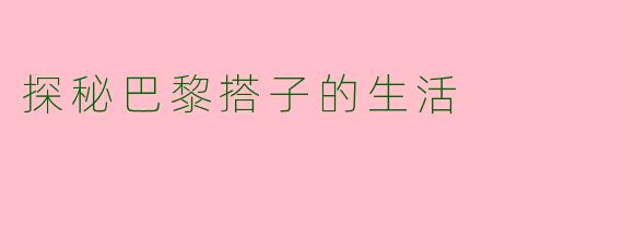 探秘巴黎搭子的生活
